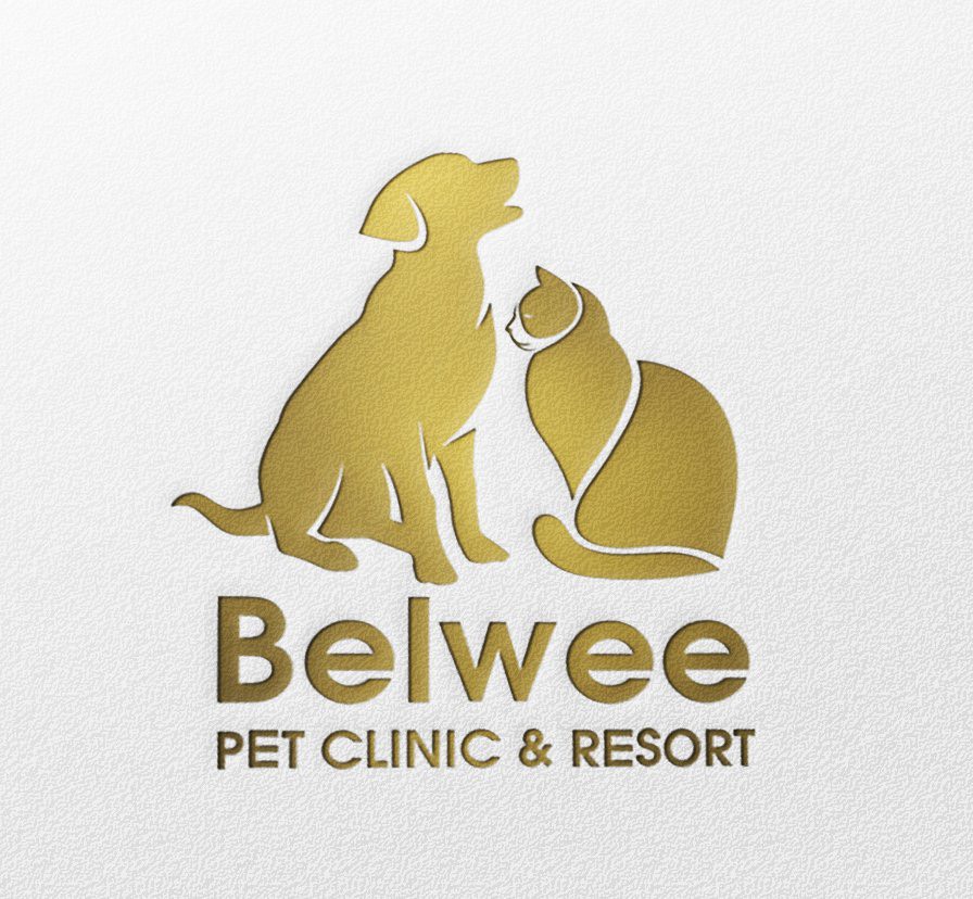 Khai trương Belwee Pet Clinic Hàng Xanh - Bình Thạnh