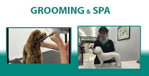 Grooming & Spa